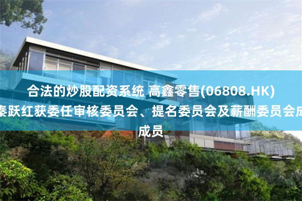 合法的炒股配资系统 高鑫零售(06808.HK)：秦跃红获委任审核委员会、提名委员会及薪酬委员会成员