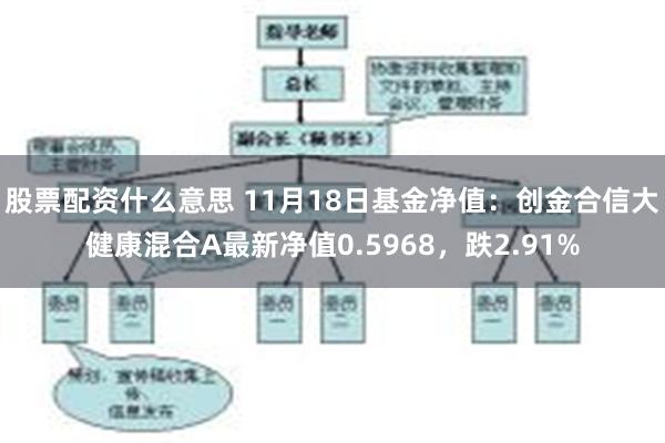 股票配资什么意思 11月18日基金净值：创金合信大健康混合A最新净值0.5968，跌2.91%