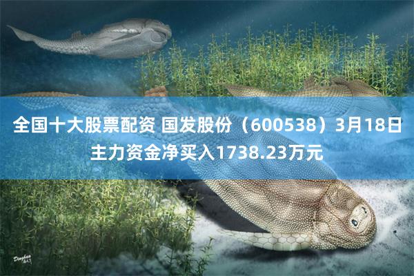全国十大股票配资 国发股份（600538）3月18日主力资金净买入1738.23万元