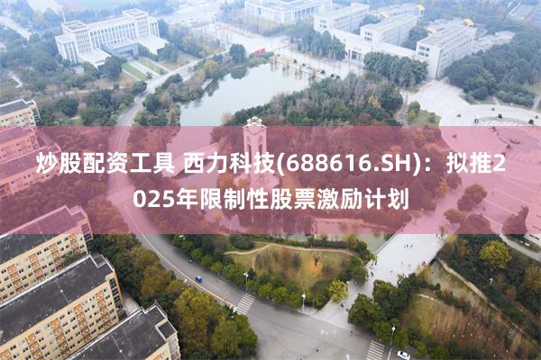 炒股配资工具 西力科技(688616.SH)：拟推2025年限制性股票激励计划