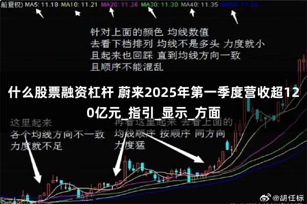 什么股票融资杠杆 蔚来2025年第一季度营收超120亿元_指引_显示_方面