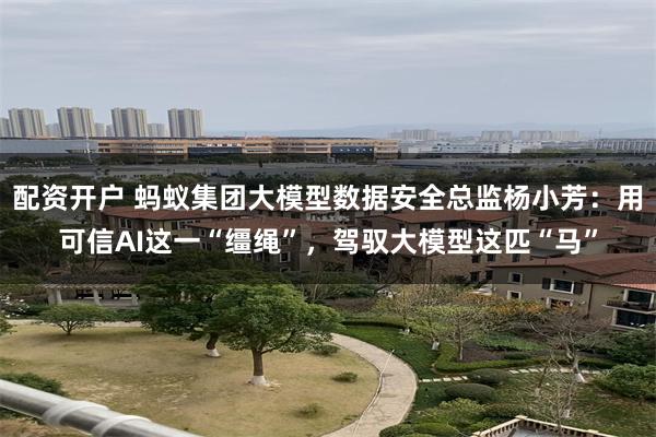 配资开户 蚂蚁集团大模型数据安全总监杨小芳：用可信AI这一“缰绳”，驾驭大模型这匹“马”