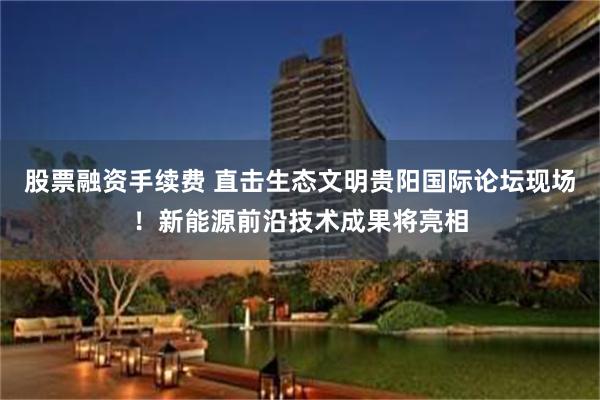 股票融资手续费 直击生态文明贵阳国际论坛现场！新能源前沿技术成果将亮相