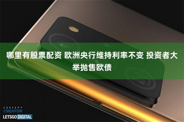 哪里有股票配资 欧洲央行维持利率不变 投资者大举抛售欧债