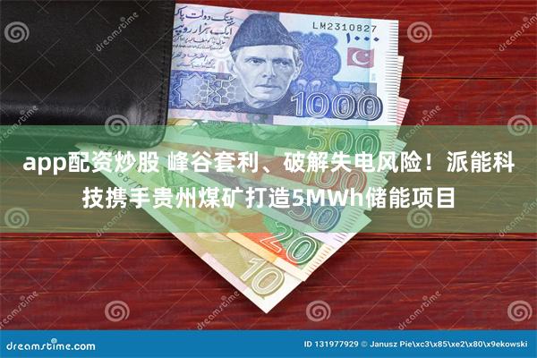 app配资炒股 峰谷套利、破解失电风险！派能科技携手贵州煤矿打造5MWh储能项目