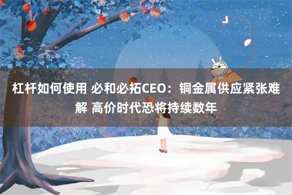 杠杆如何使用 必和必拓CEO：铜金属供应紧张难解 高价时代恐将持续数年